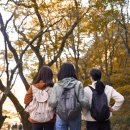 스마트폰 활용 이미지