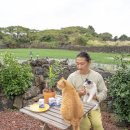 캄그루밍 | 고양이 신장 심장 영양제 그레이코트 캄