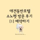 포미펫샵 | [가을맞이 여름휴가] 강원도 애견 동반 호텔 소노펫 방문 후기 (1) 예약하기