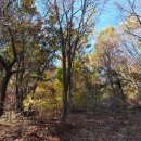 역후공원 이미지