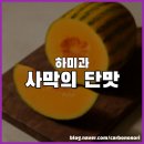 경원농장 | 하미과, 청 황제가 이름 붙인 사막의 단 멜론