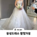 세인트에이미 | 더에이미 촬영가봉 후기｜끝까지 고민했던 풍성 미카도 샤드레스