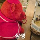 현성마켓
