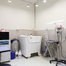 헬로멍멍 이미지