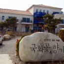 고성국화꽃향기 이미지