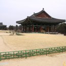 황금조명 Daum카페