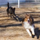 아이캔유치원 이미지