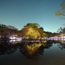 요가 야간 이미지