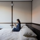 아노록사계 이미지