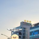 발렌타인 | 포항실내서바이벌게임 영일대 레이저아레나 현실판 배그 느낌 제대로