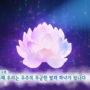 선정화 | 내 몸에 피는 우주의 빛꽃, 선정화(仙定花)의 역사와 수행 후기