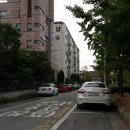 경기도 수원시 장안구 정조로 네이버블로그