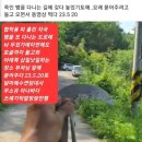 보성남초등학교 이미지