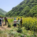 외궁초등학교 이미지