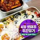 (주)세진에코 | 2025년 4월 셋째주 주간일기