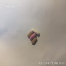 스위치온 다이어트 시작, 스위치온 1주 차 후기, 박용우 다이어트, 직장인 다이어트, 직장인 도시락