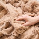 리베르타 이미지