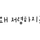 슈니네일 이미지