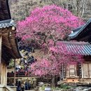 하얀빨래센터 이미지