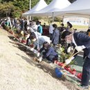 대덕구치매안심센터 이미지