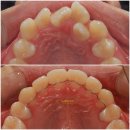 365플러스치과의원 이미지