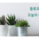 2026년 06월 26일 (금) 제목 : 솔로몬의 숙청 오늘의 말씀 : 열왕기상 2:26-35 이미지