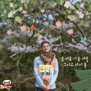 다시 봄 이미지