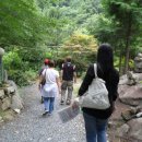 청강농원 이미지