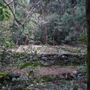 남원읍-111 이미지