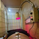 신한의원 | [ 중곡 ] 중곡동 :: 신한의원 방문 후기 (4개월차)