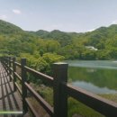 옥성자연휴양림 이미지