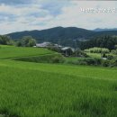 대양부동산공인중개사사무소 이미지