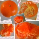 가영농장 이미지