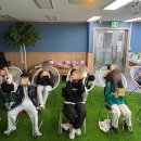 성민종합사회복지관 이미지