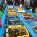 구조라위판장 이미지