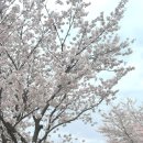 부강로또 이미지