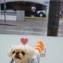 성내동물병원 이미지