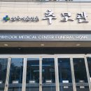 지성병원 티스토리
