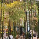 뱀부포레스트(BAMBOO Forest) | 김포 카페 추천 아기랑가기좋은 예쁜 식물카페 뱀부포레스트