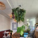 보령-웅천-133 이미지