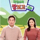 단양건강원