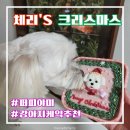 퍼피야미 이미지