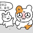 요리사횟집 이미지