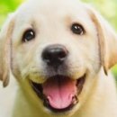 나래약국 이미지