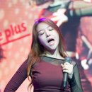 미스터비어 티스토리