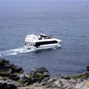 도치돌가든 이미지