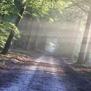 고운그대한의원 | 지루성피부염, 더 이상 숨지 말아요! 솔직 후기 나눔해요