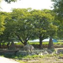 양곡리체험마을 이미지