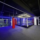 용인대SM복싱클럽 장기점 이미지