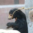 서울대공원 이미지